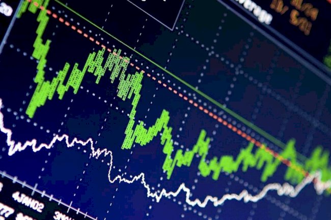 Firma Sahipleri için Taşıma Ruhsatı 